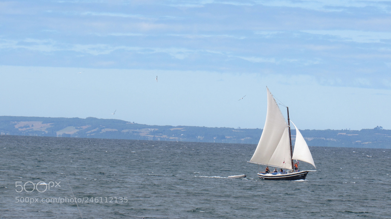 Canon PowerShot SX530 HS sample photo. Velero - sailboat photography