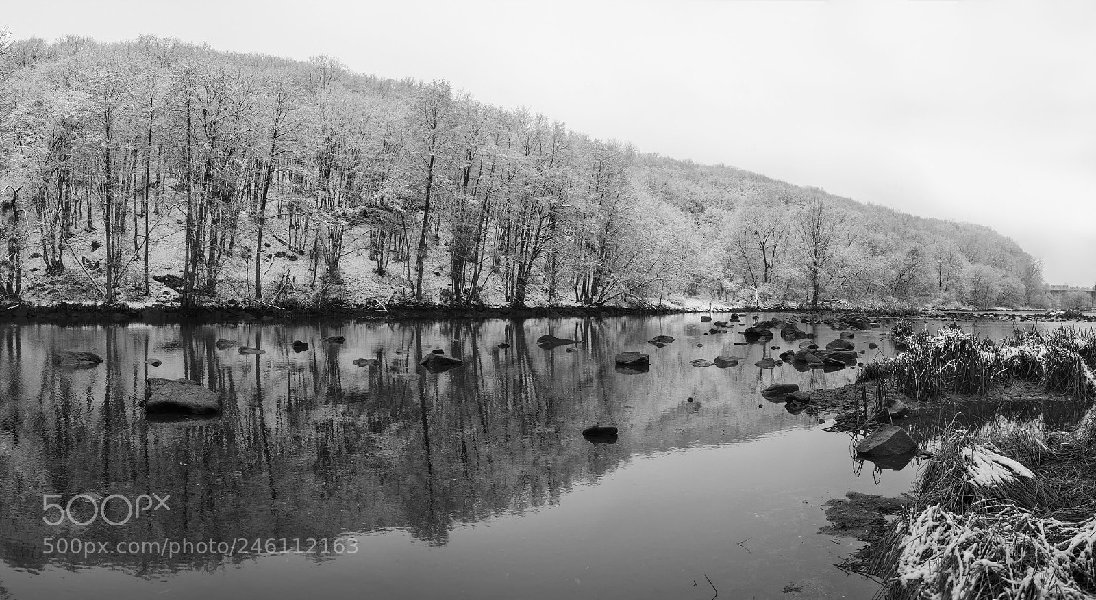 Nikon D800E sample photo. Winter black and white photography