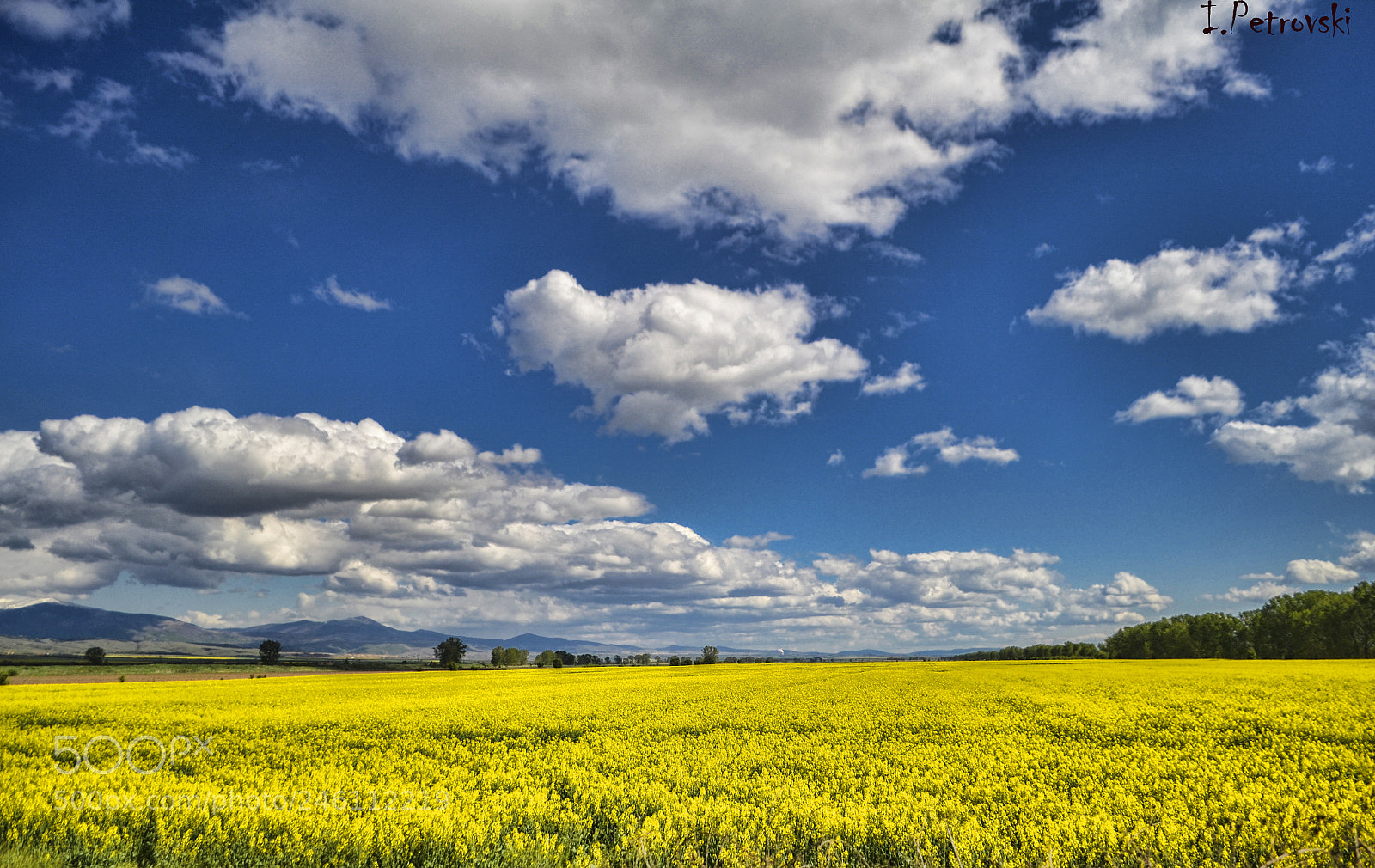 Nikon D3100 sample photo. Spring is coming photography
