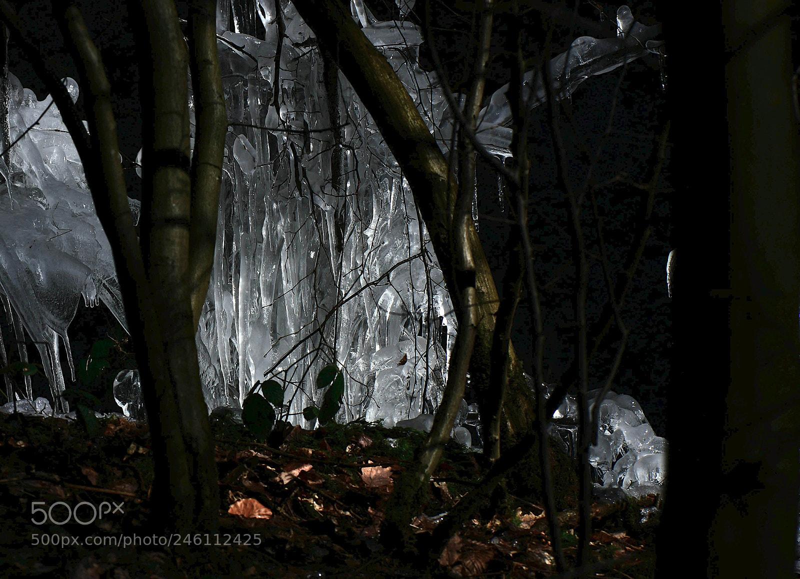 Nikon D500 sample photo. Winter photography