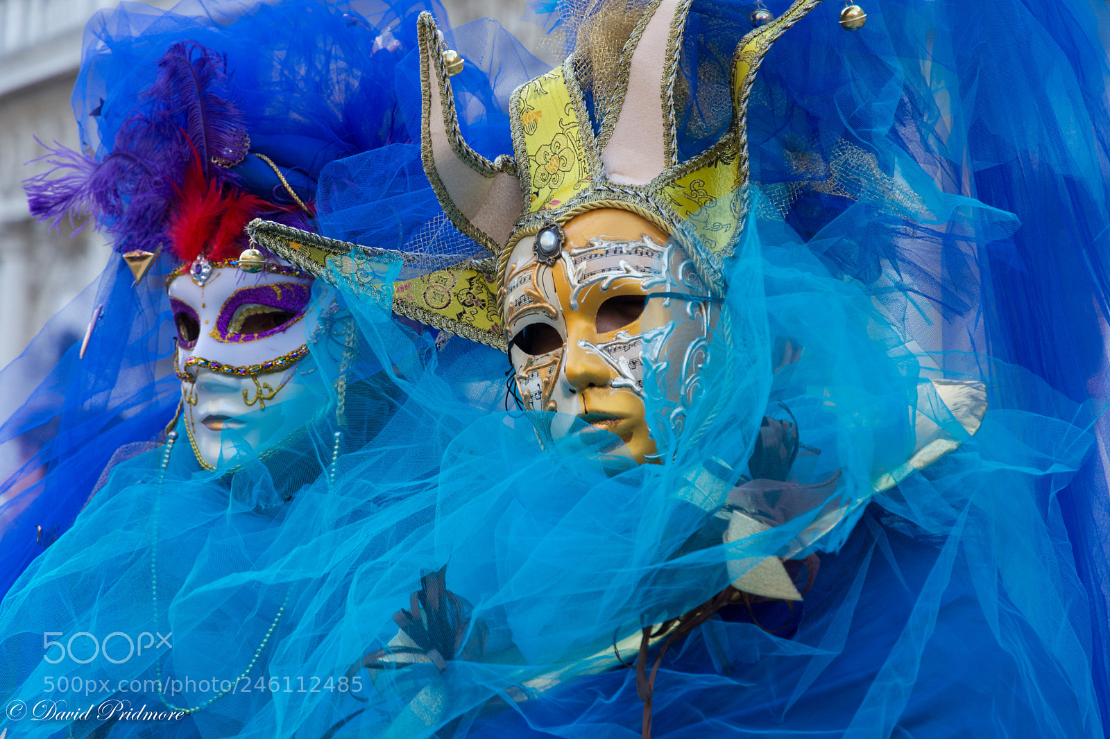 Nikon D7200 sample photo. Blue and blue photography