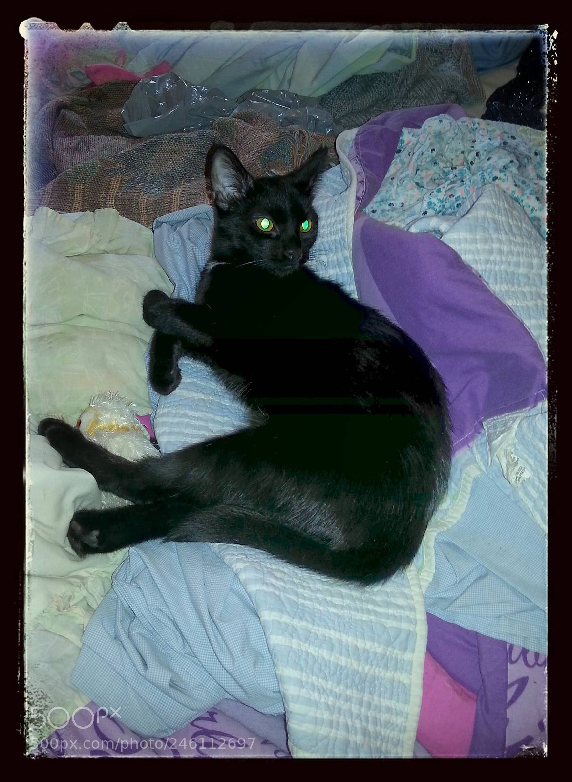 Samsung Galaxy S3 sample photo. Cats at the bar photography