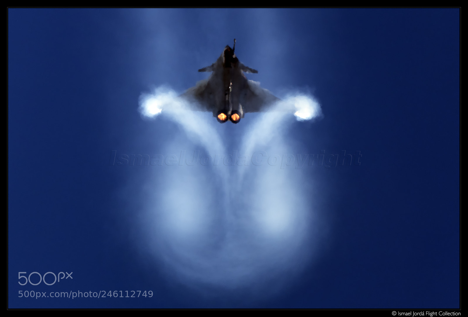 Nikon D810 sample photo. Rafale (2016) photography
