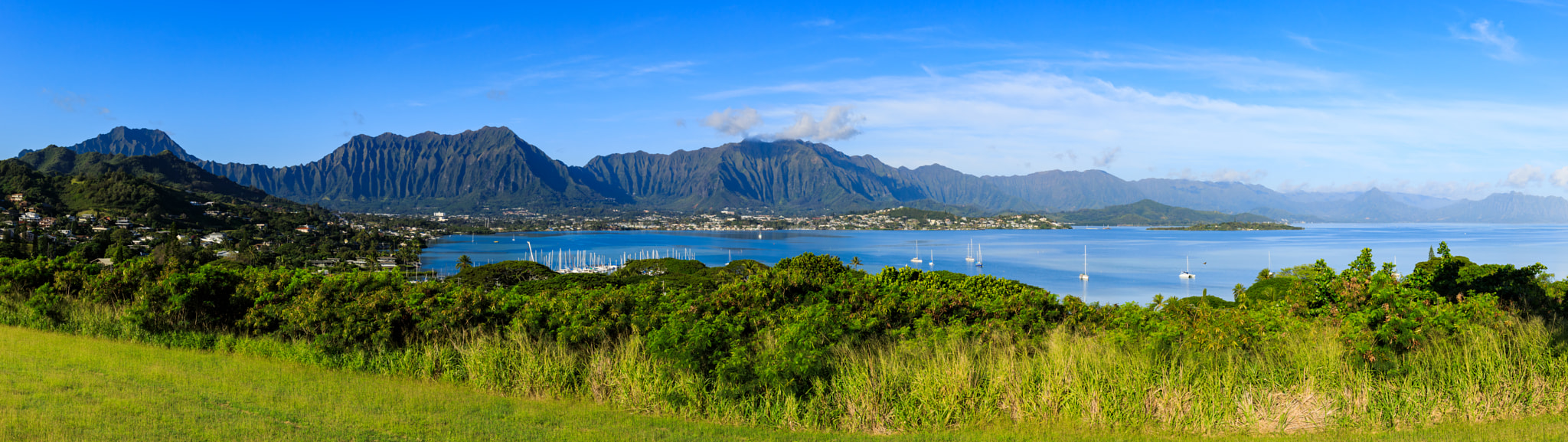 v2?sig=5534e8729b4406686d2ac431ab9a7169fa82735bec17b32a6ef1cd83b6256293