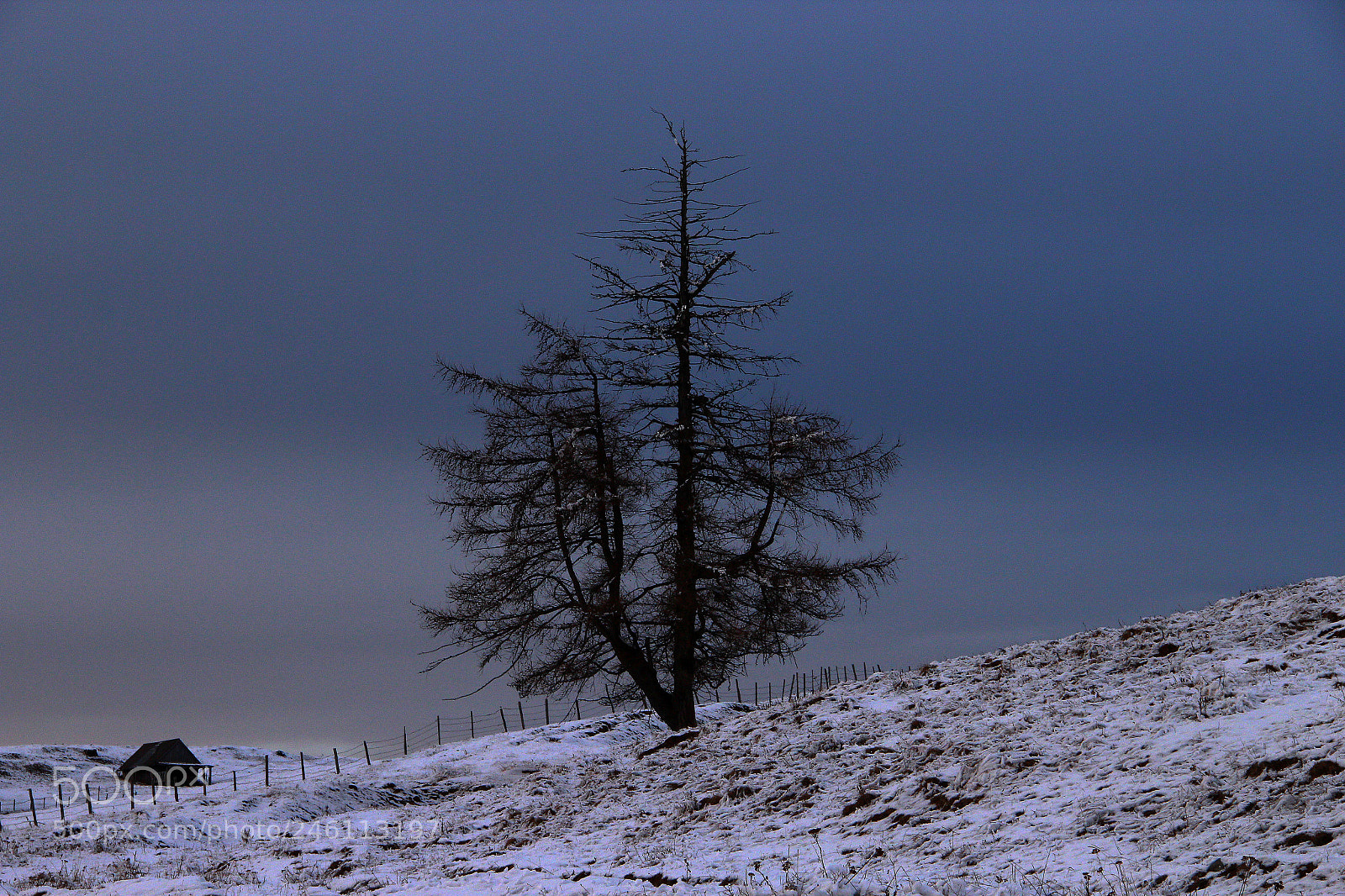Canon EOS 600D (Rebel EOS T3i / EOS Kiss X5) sample photo. Winter scenery photography
