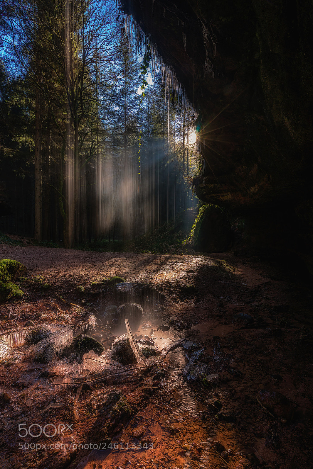 Sony a7 sample photo. Against the light... photography