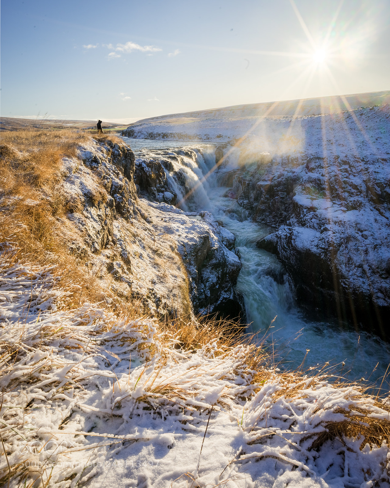 Sony a7 II sample photo. The power of nature photography