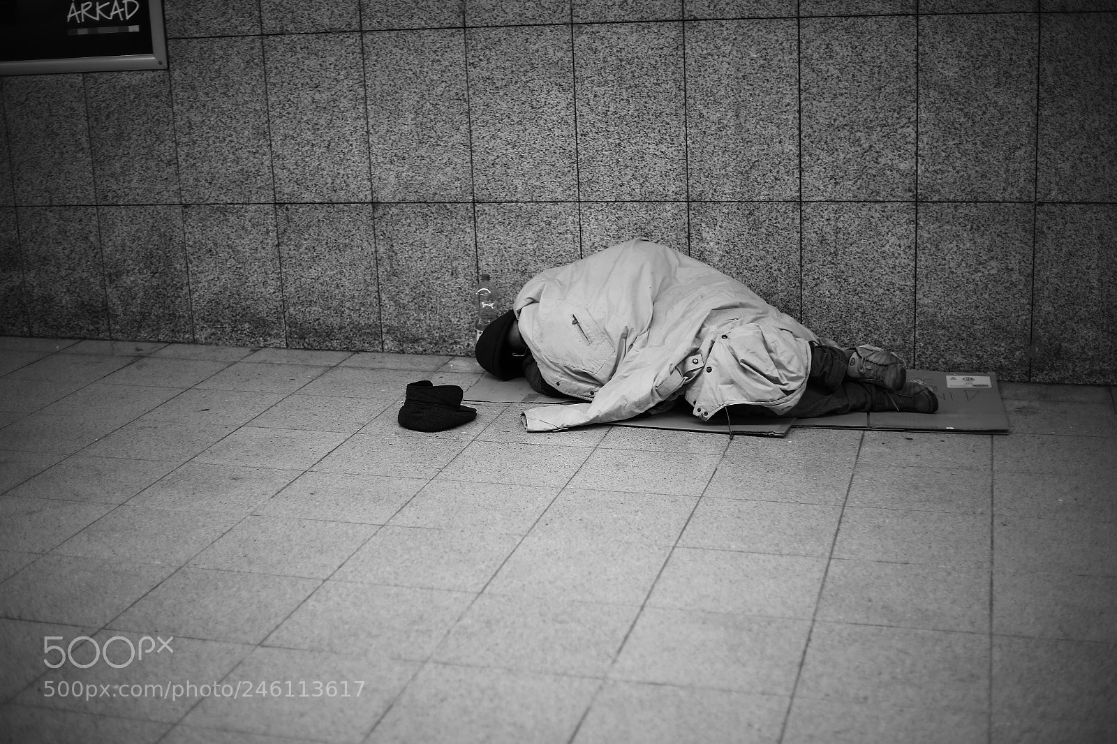 Canon EOS 6D + Canon EF 50mm F1.8 STM sample photo. Untitled photography