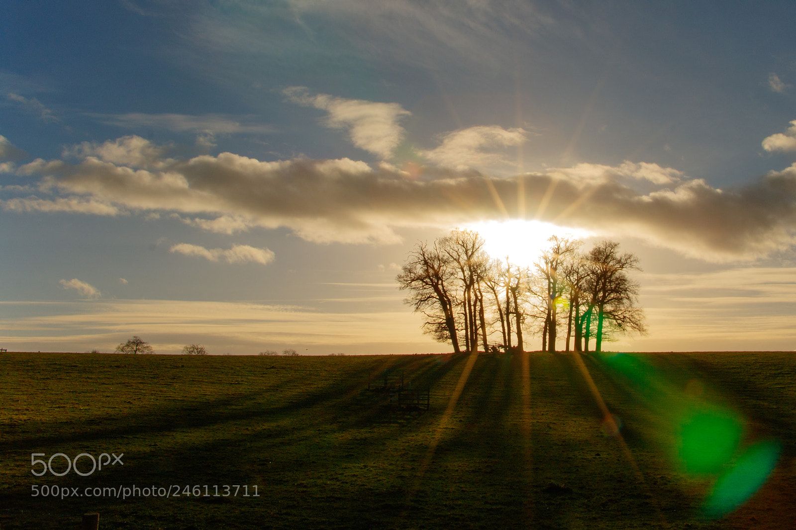 Canon EOS 760D (EOS Rebel T6s / EOS 8000D) sample photo. Winter sunset photography