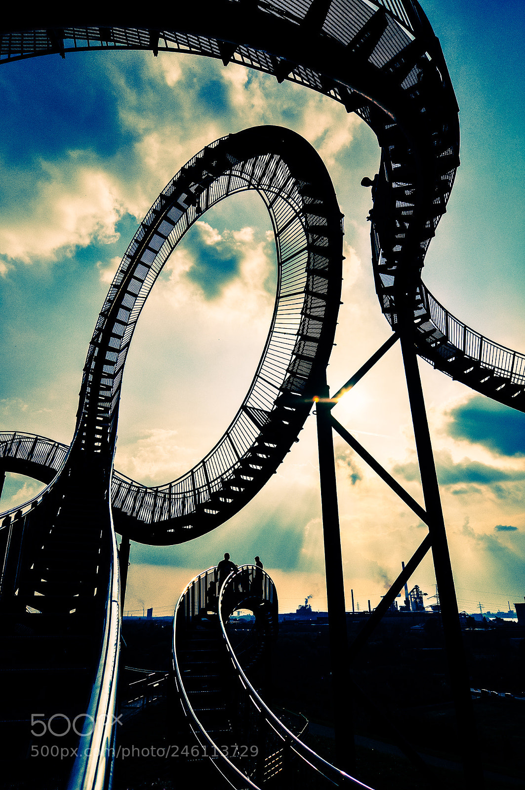 Nikon D90 sample photo. Tiger and turtle photography