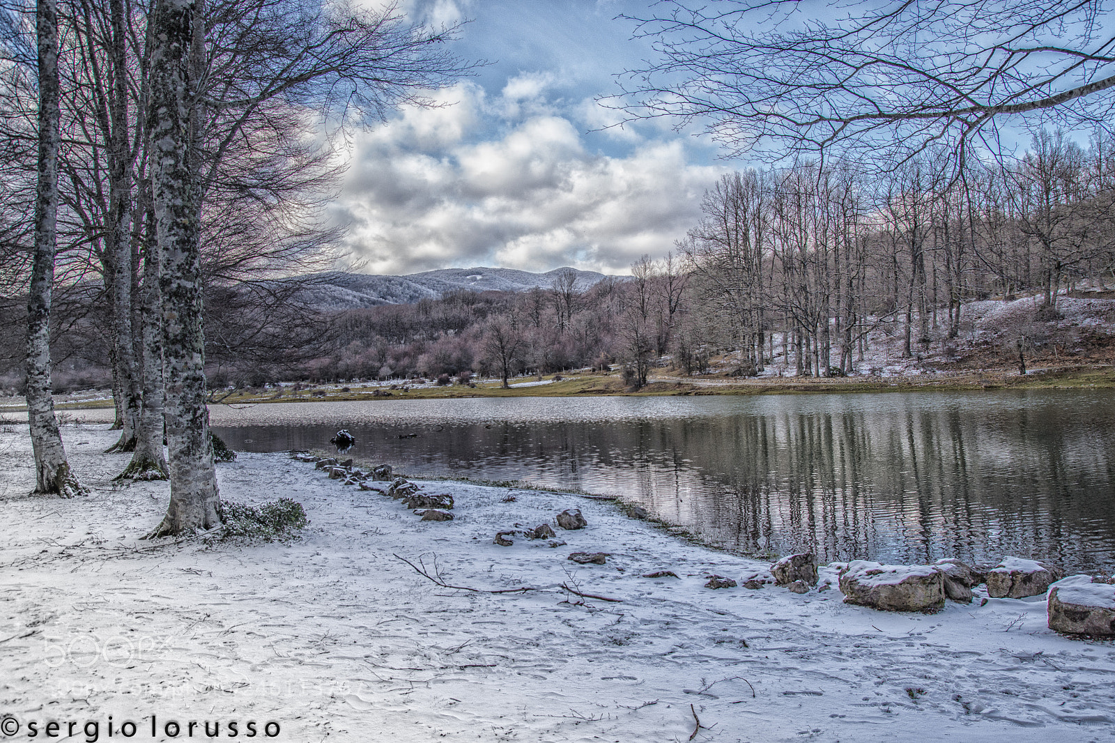 Nikon D7200 sample photo. Untitled photography