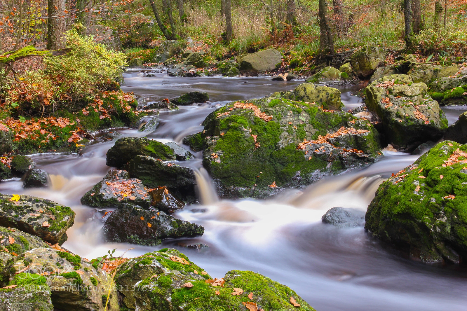Canon EOS 550D (EOS Rebel T2i / EOS Kiss X4) sample photo. Flow river flow photography