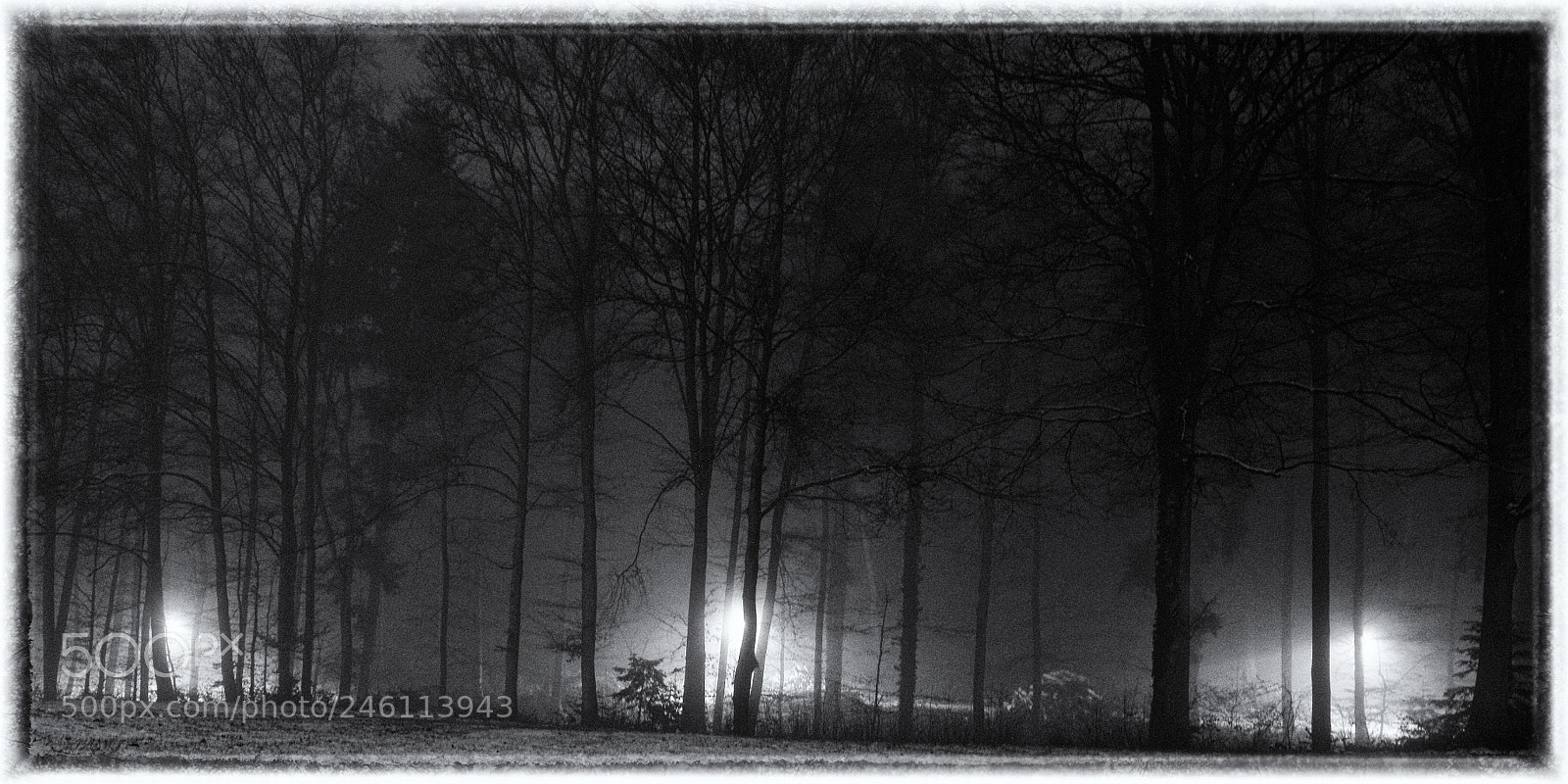 Fujifilm X-T10 sample photo. A dark and bleak photography