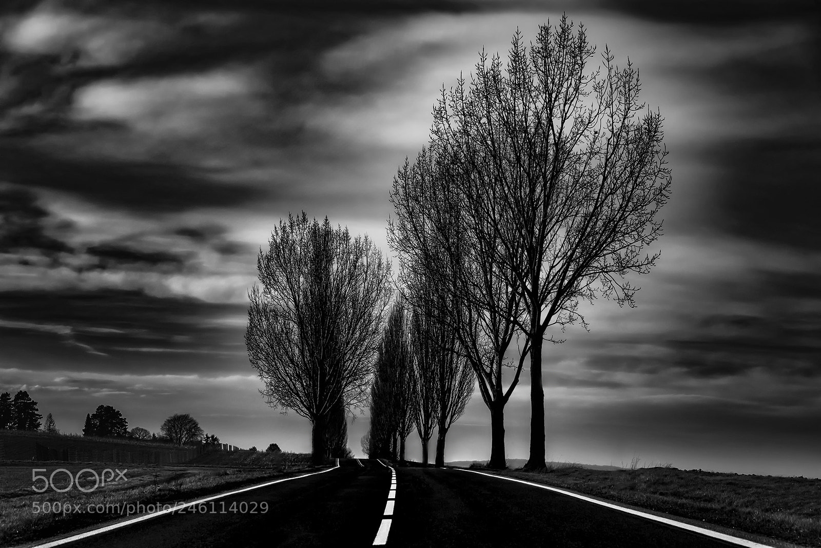 Nikon D810 sample photo. On the road photography