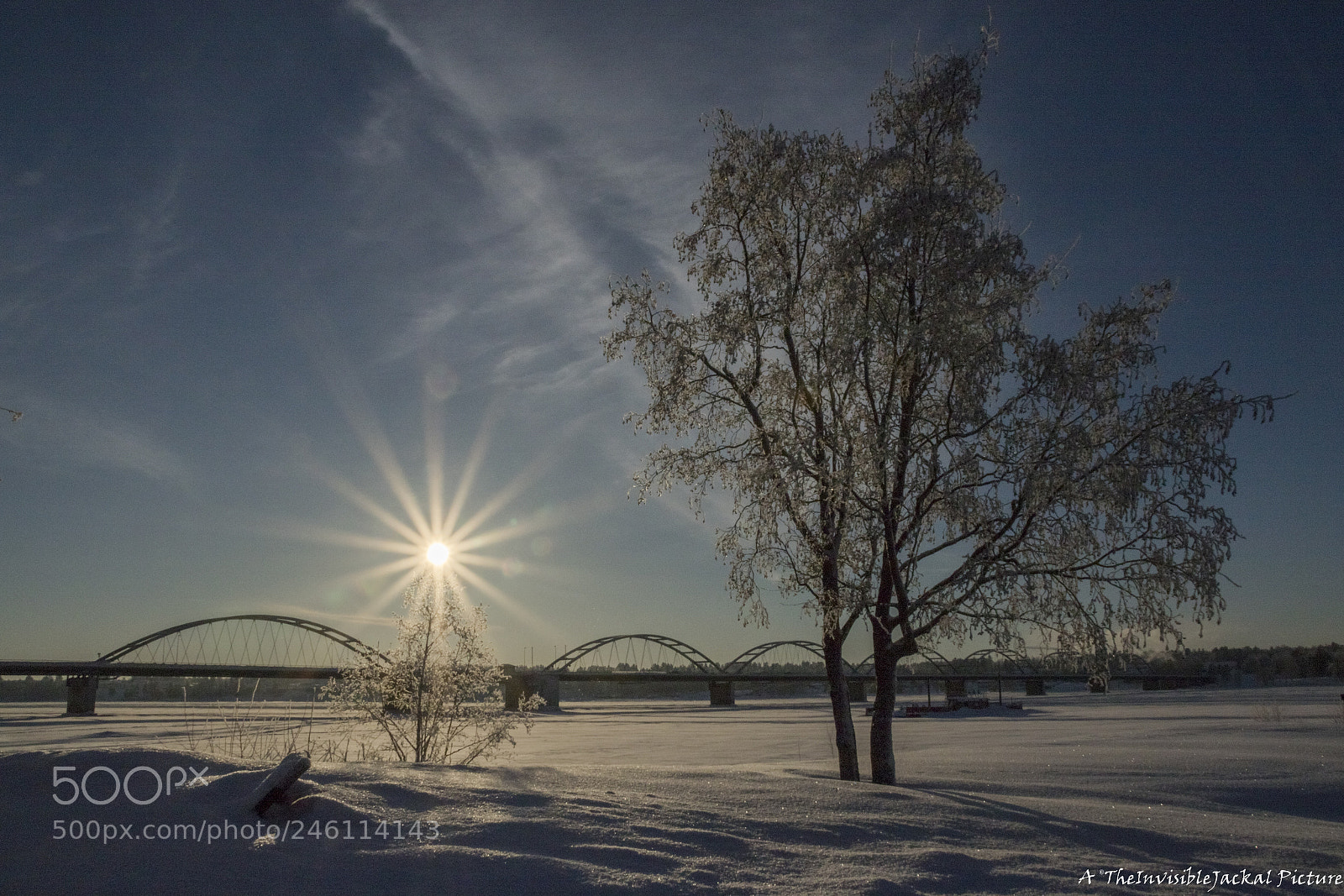 Canon EOS 7D Mark II sample photo. Winterland photography