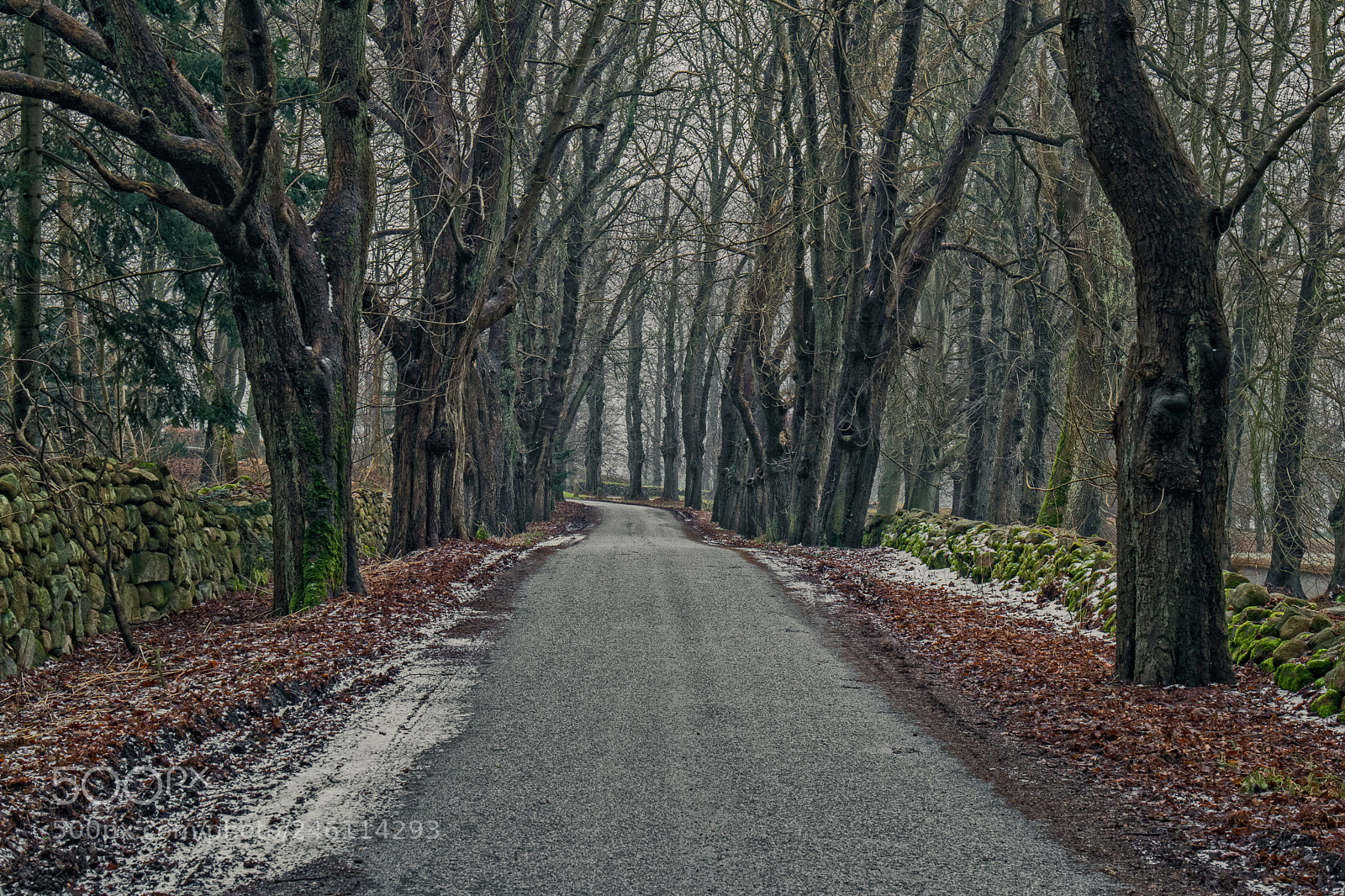 Canon EOS 77D (EOS 9000D / EOS 770D) sample photo. Winter alley photography