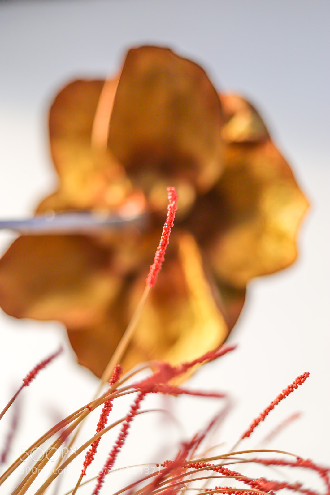 Canon EOS 6D Mark II sample photo. Khfi6279-2.jpg photography