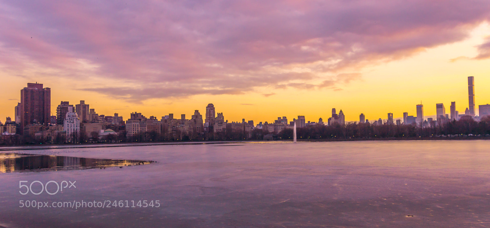 Sony SLT-A77 sample photo. Dsc photography