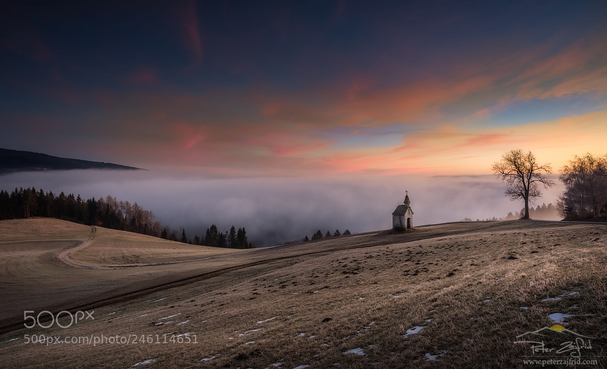 Nikon D810 sample photo. Into the sunrise photography