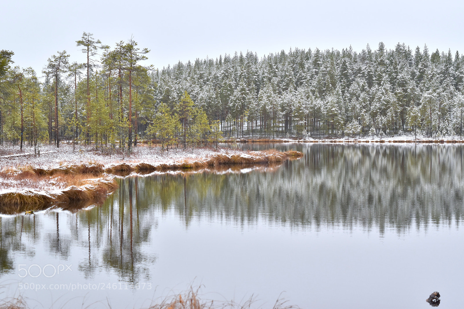 Nikon D5500 sample photo. First snow photography