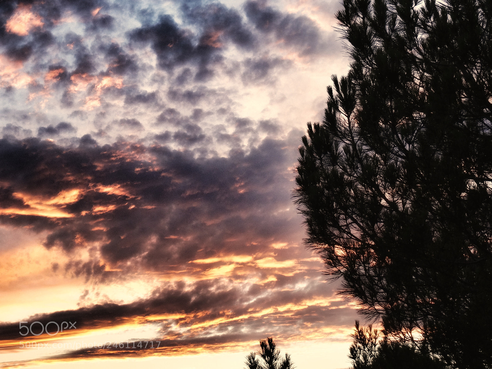 Sony Cyber-shot DSC-HX50V sample photo. Sunset photography