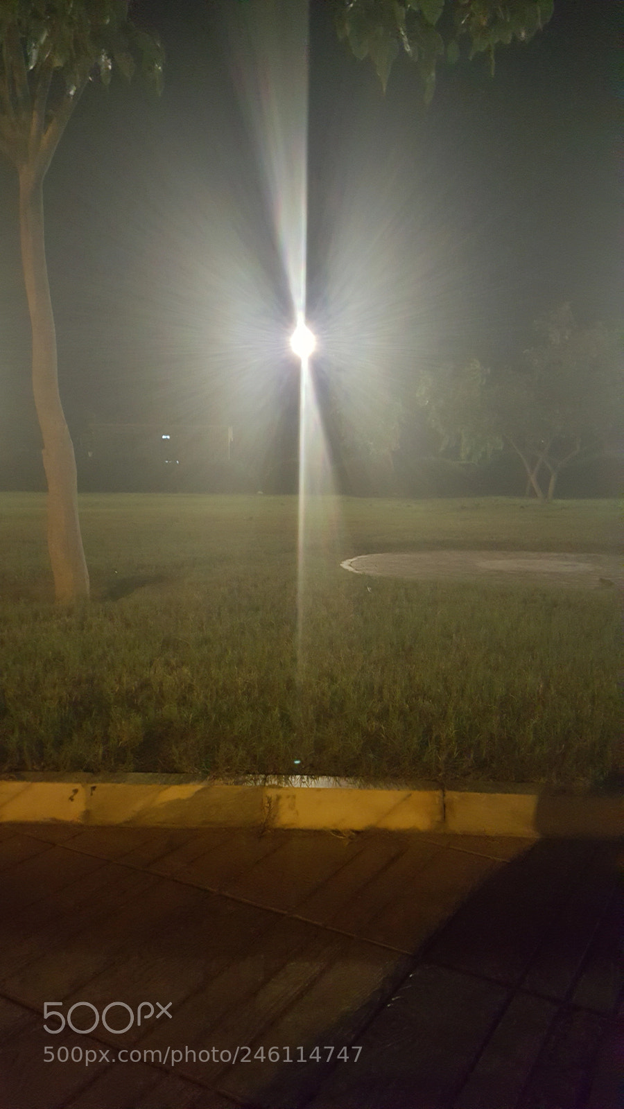 Samsung Galaxy Note5 sample photo. Bushehr.jpg photography