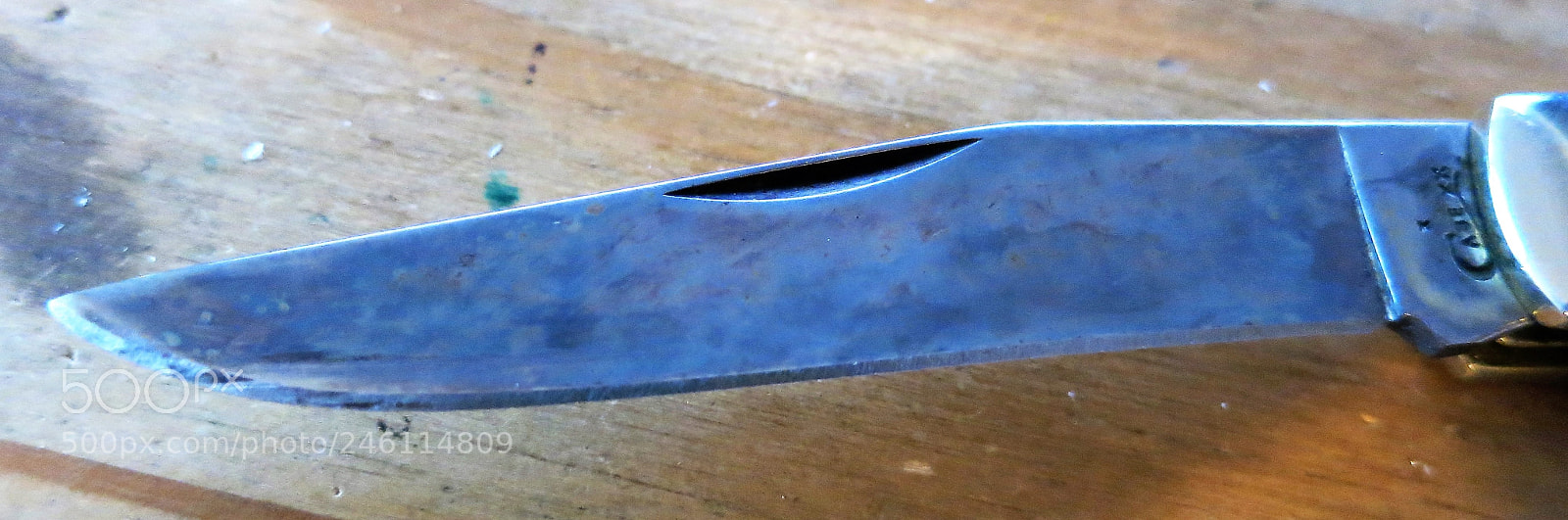 Canon PowerShot S110 sample photo. Case trapper photography