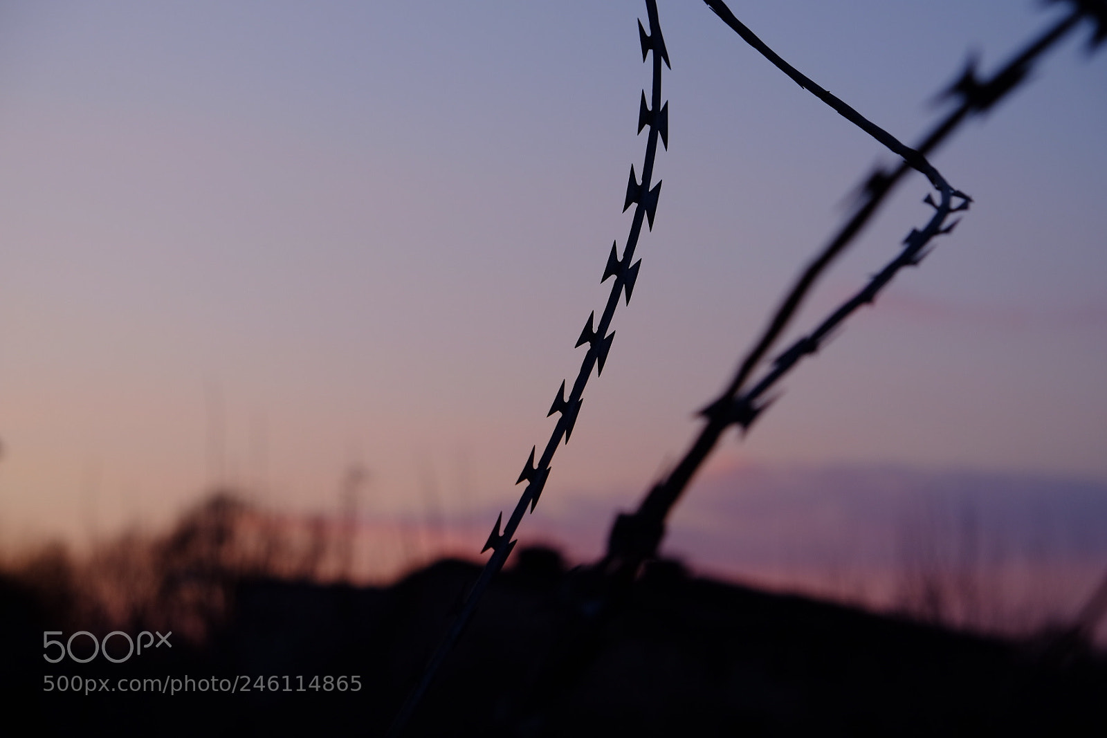 Fujifilm X-T10 sample photo. Untitled photography