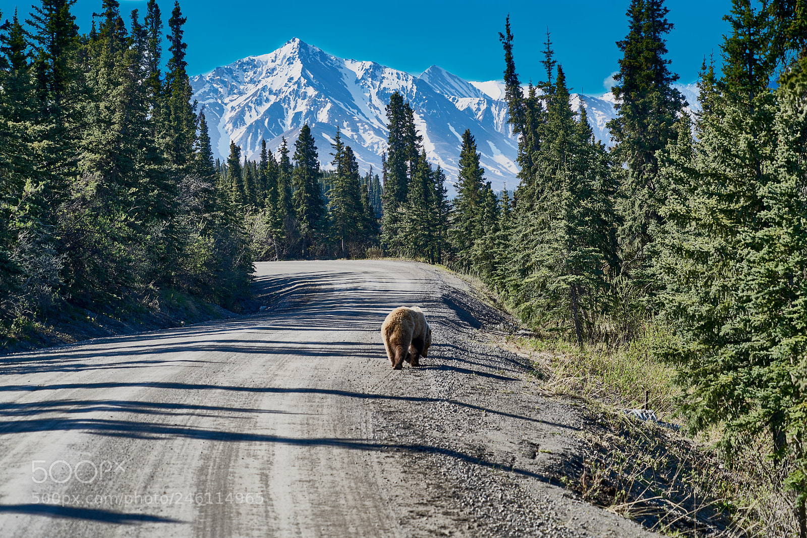 Sony a7R II sample photo. Alaska photography