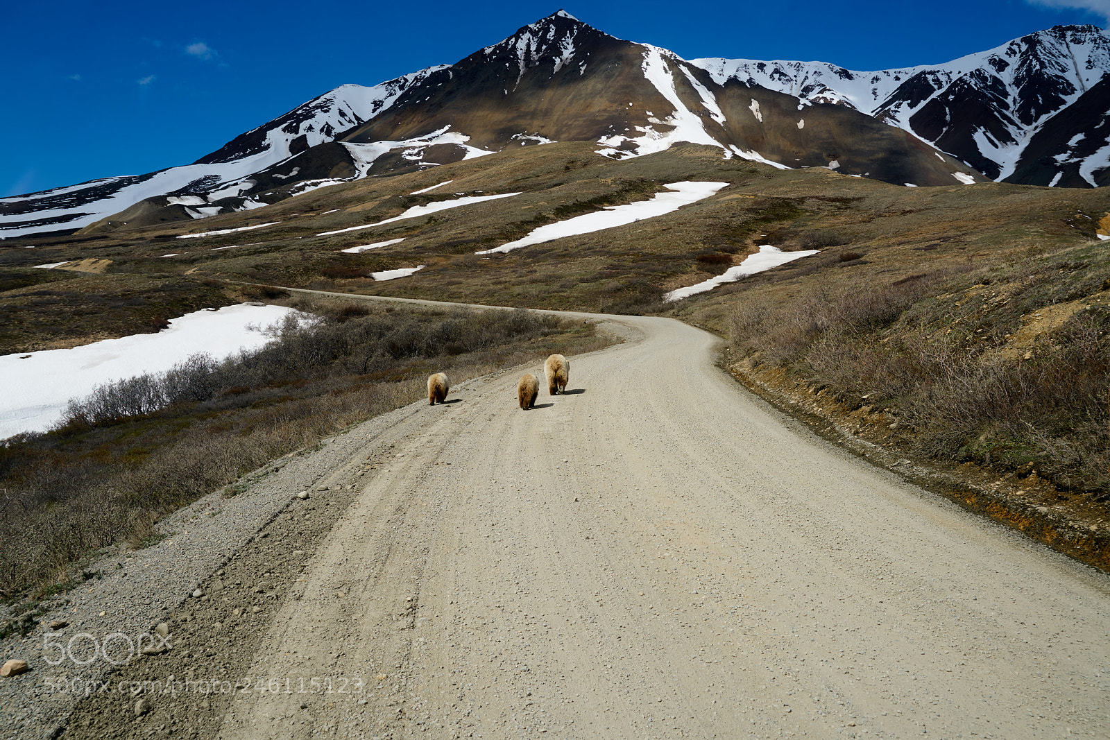 Sony a7R II sample photo. Alaska photography