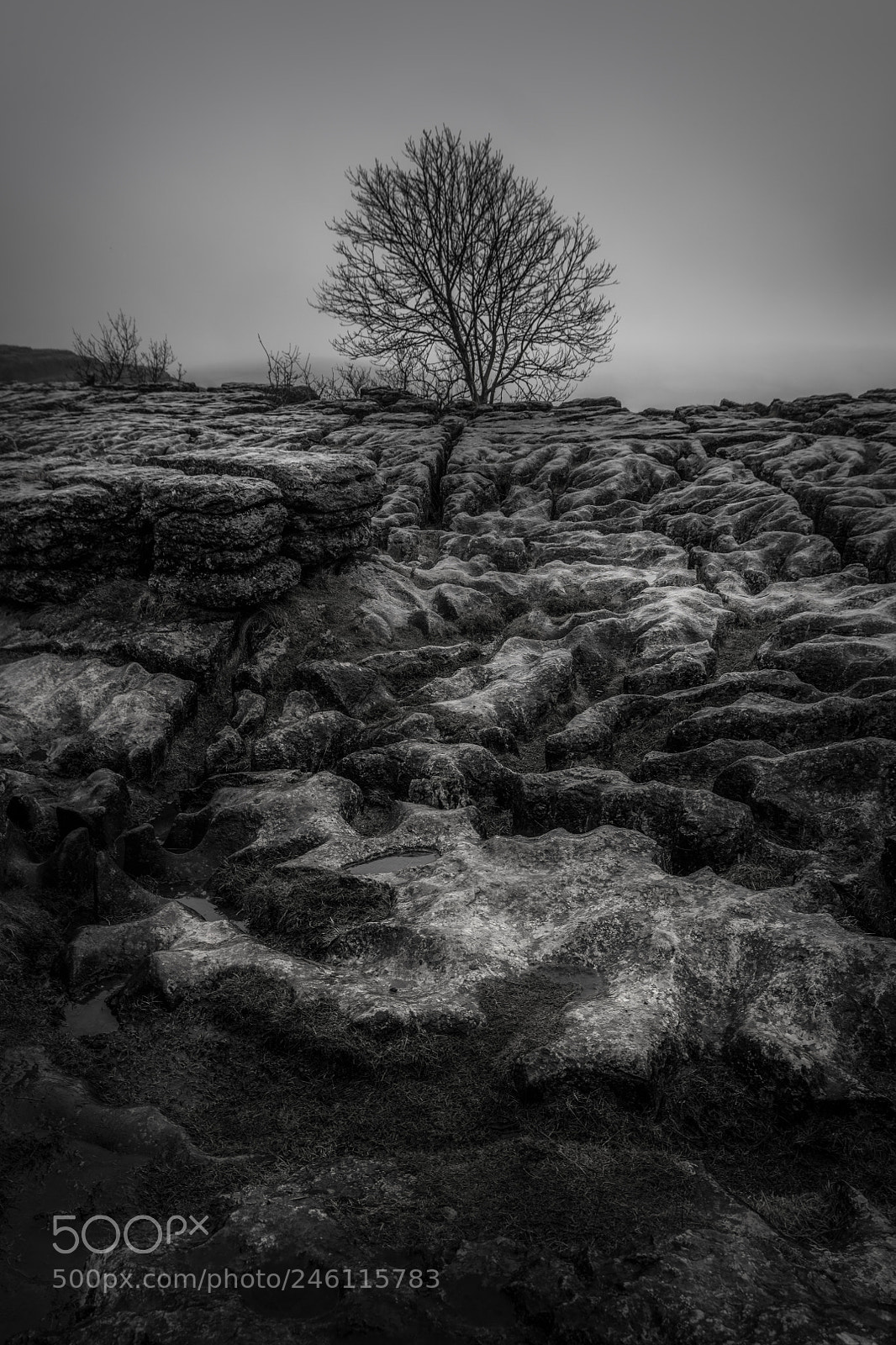 Nikon D850 sample photo. Malham tarn photography