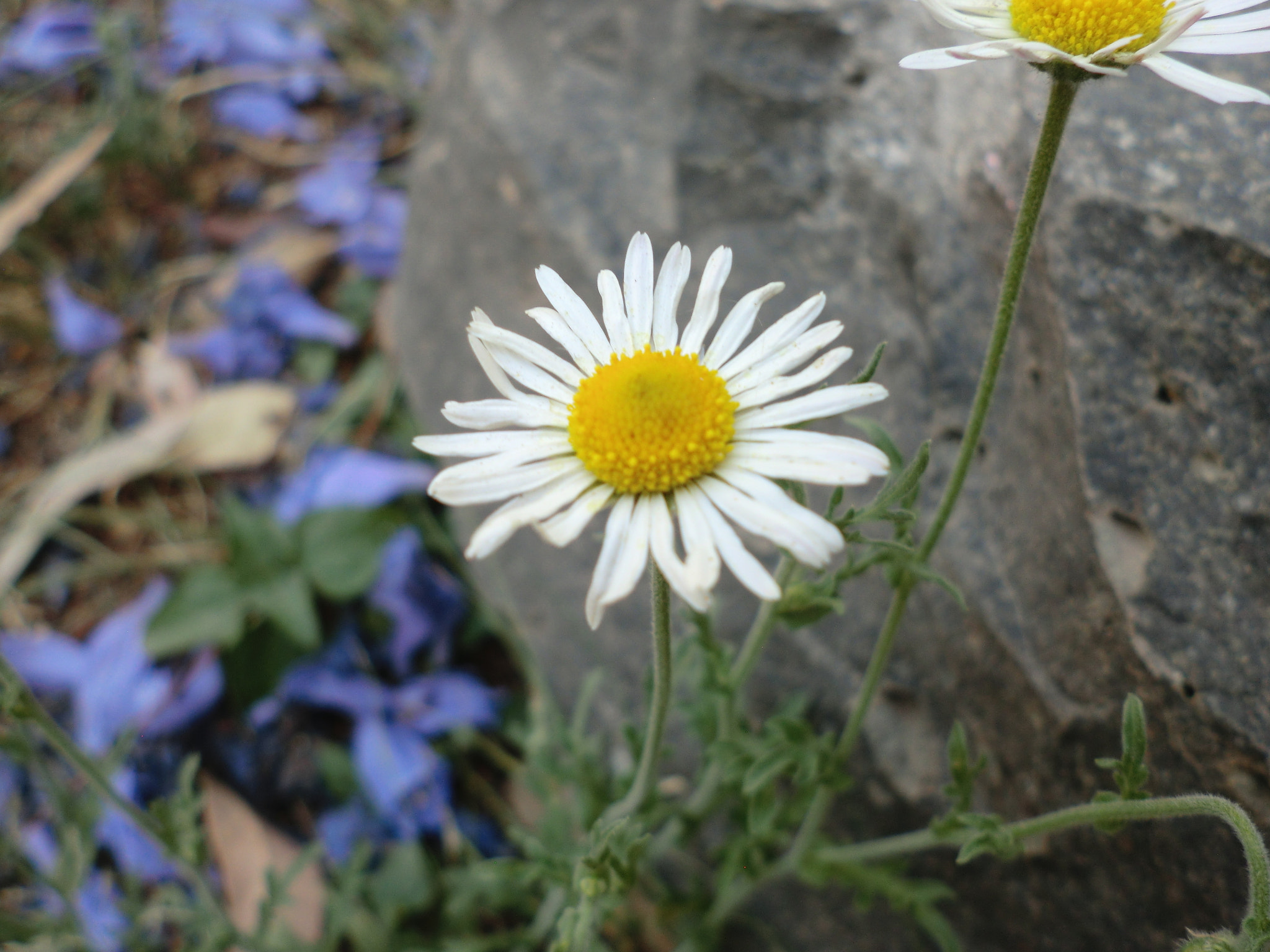 CASIO EX-S200 sample photo. Cimg photography