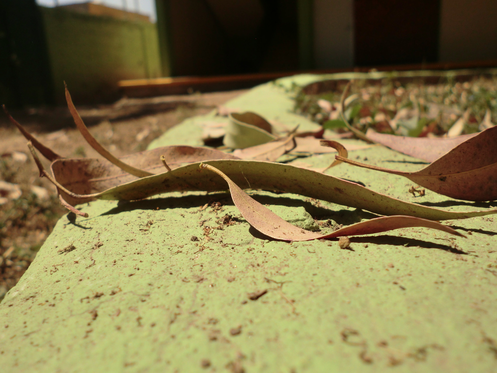 CASIO EX-S200 sample photo. Cimg photography