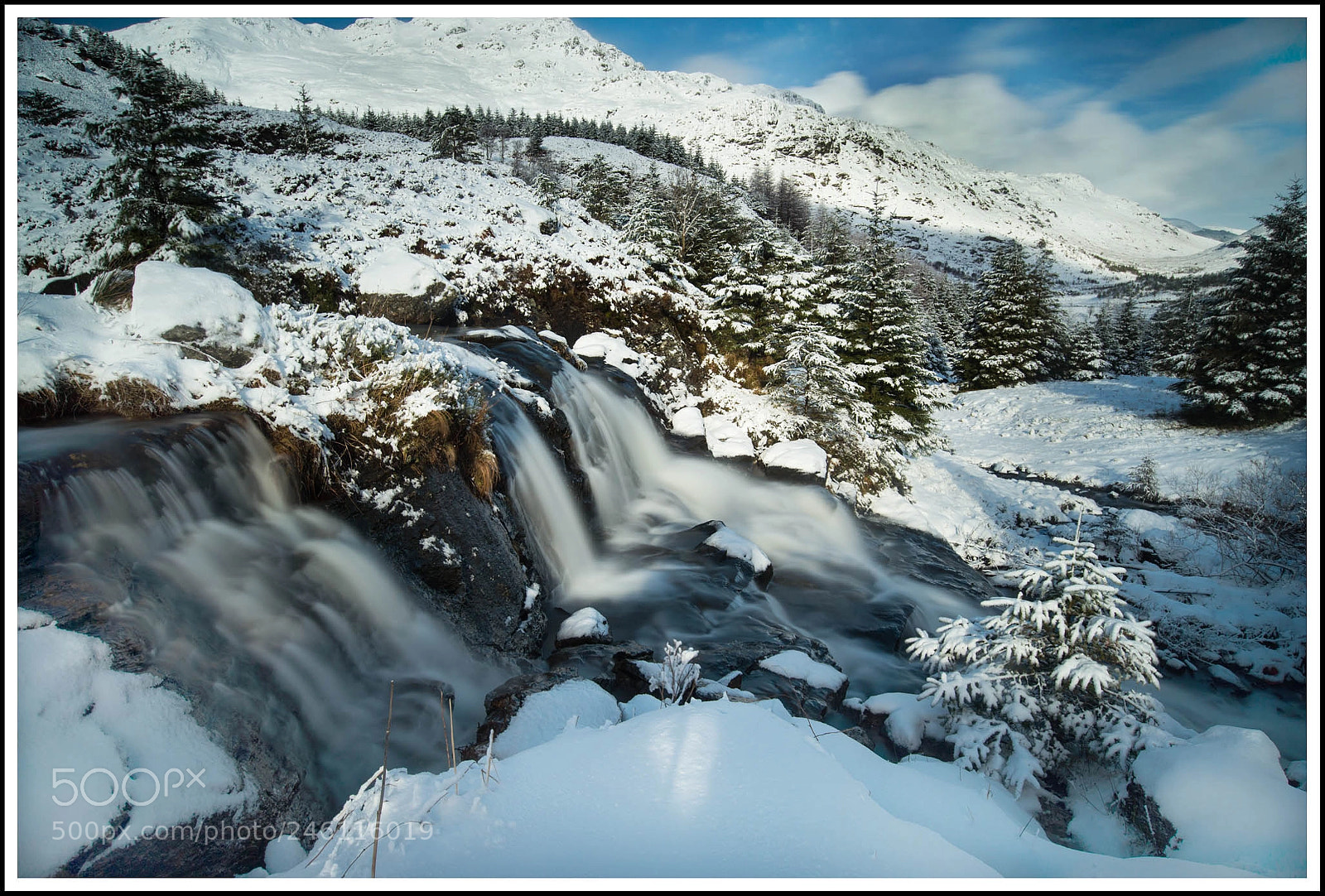 Nikon D610 sample photo. Winter wonderlands photography
