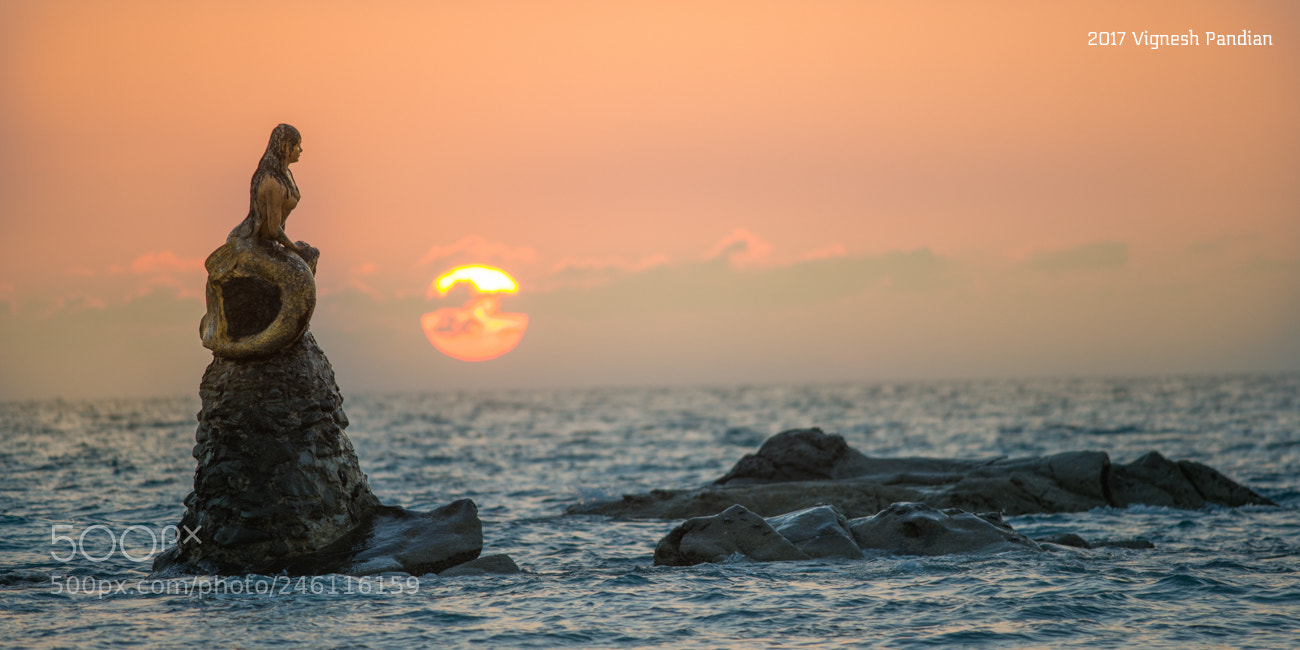 Nikon D800 sample photo. The mermaid photography