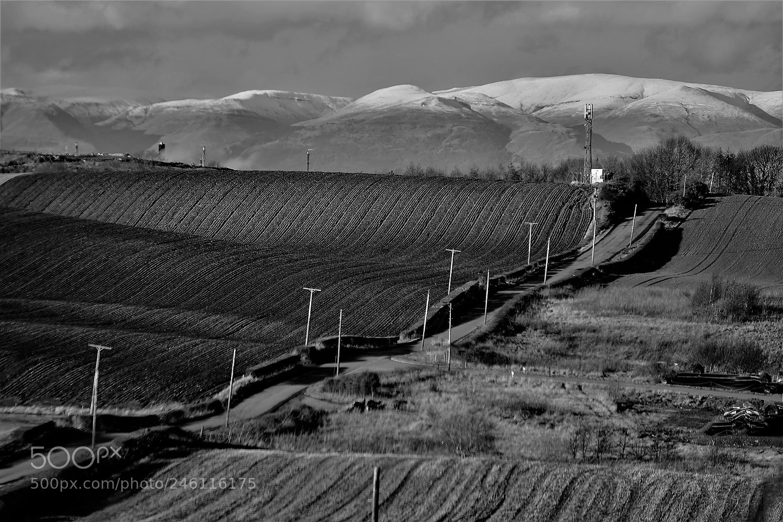 Sony Cyber-shot DSC-RX10 sample photo. Rolling fields and hills photography