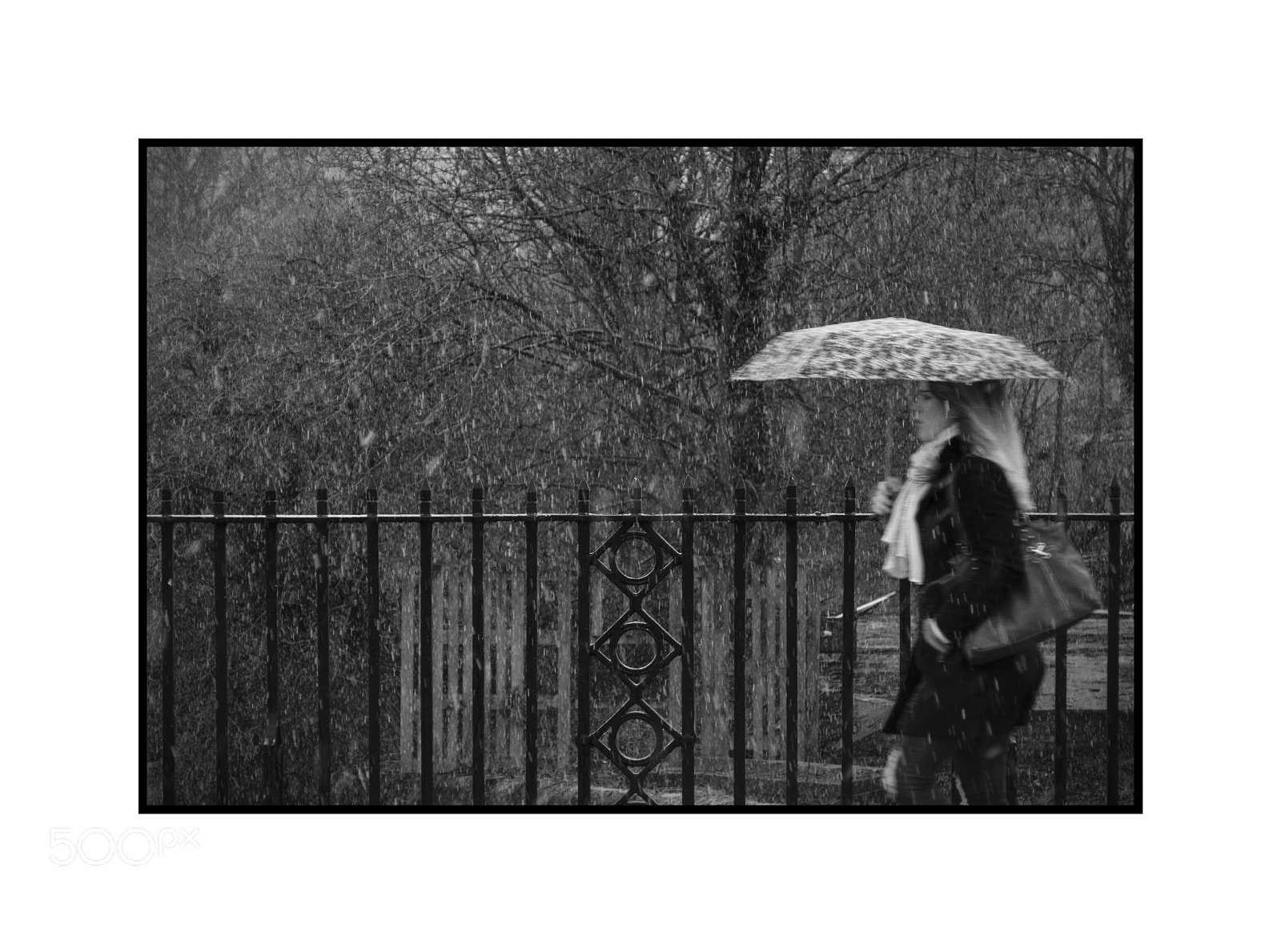 Fujifilm X-Pro2 sample photo. Rushing with a brolly photography