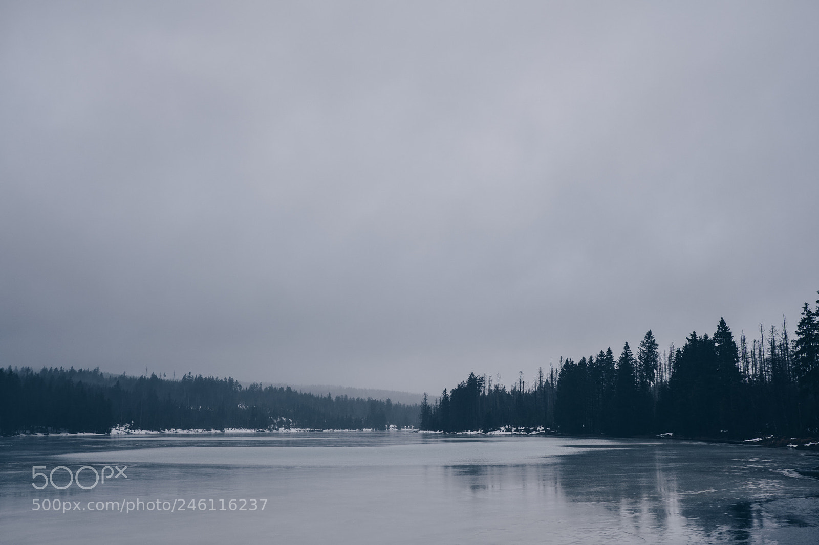 Fujifilm X-Pro2 sample photo. Oderteich n°5 photography