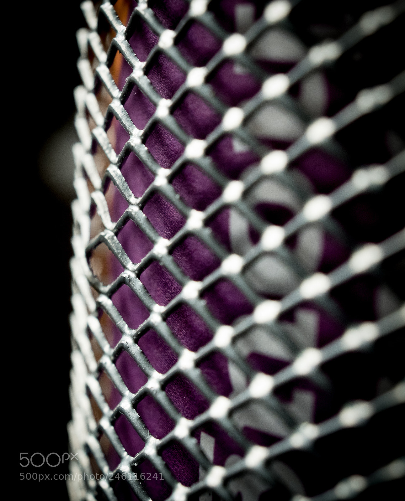 Fujifilm X-T2 sample photo. Wire grid photography