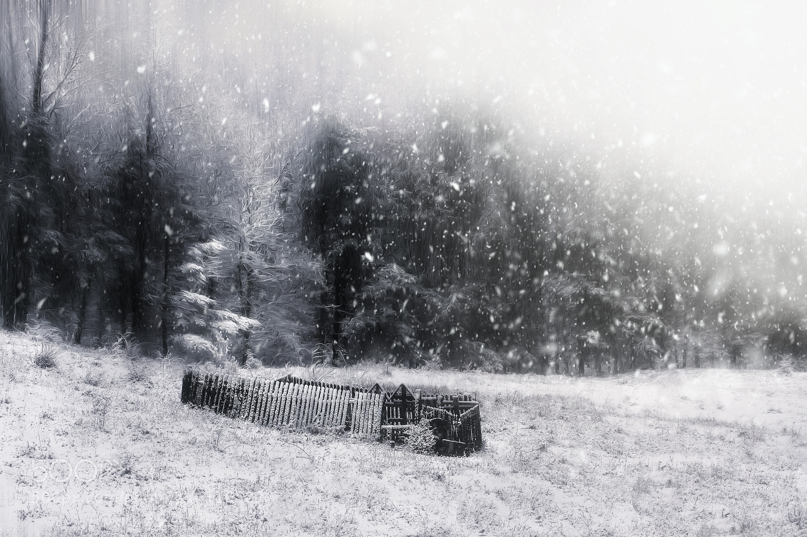 Nikon D7200 sample photo. Thinking about last winter photography