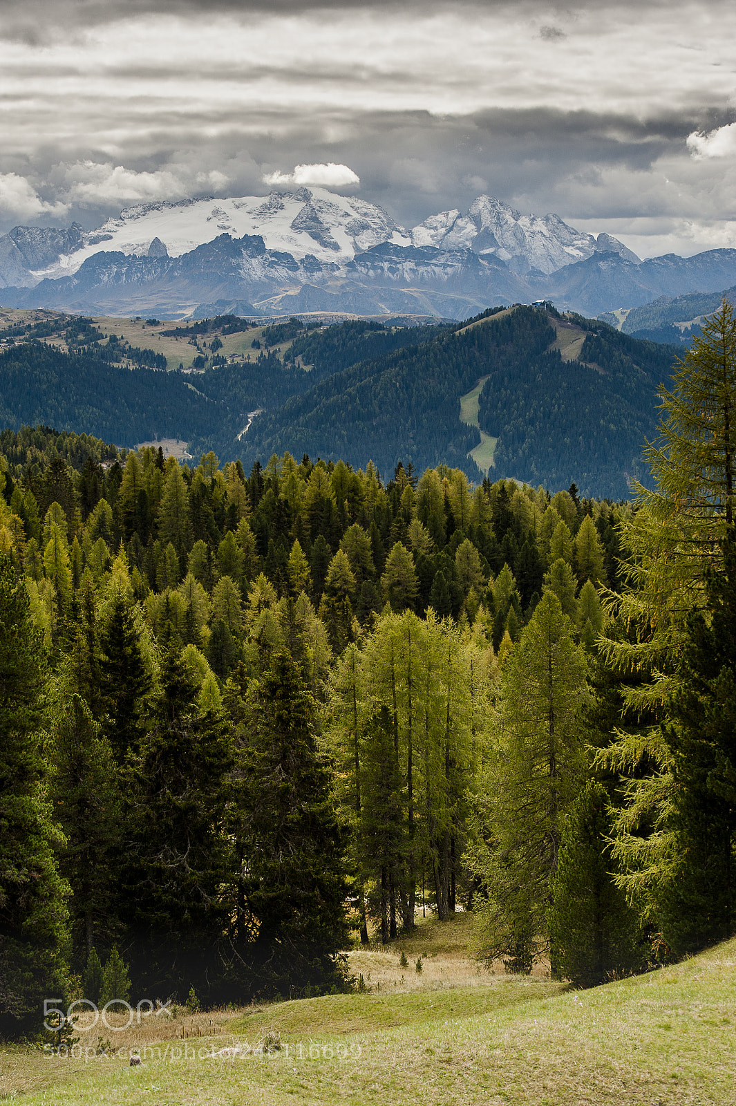 Nikon D700 sample photo. Marmolata photography
