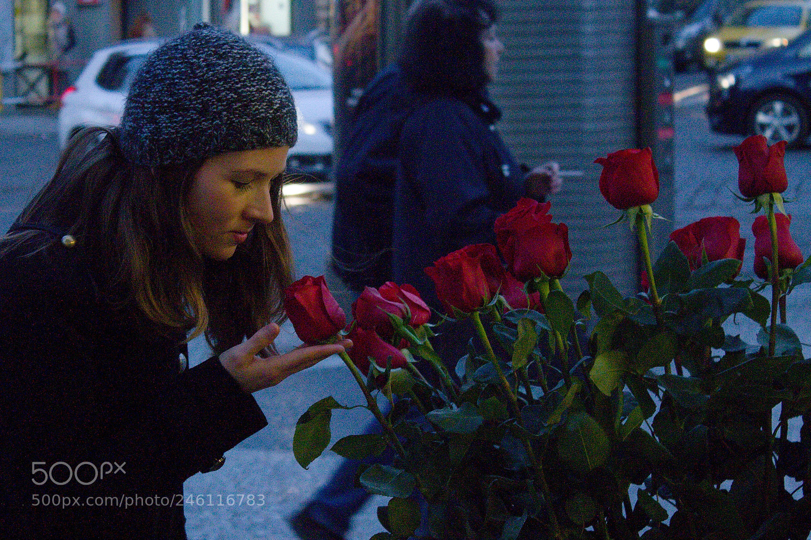 Canon EOS 1100D (EOS Rebel T3 / EOS Kiss X50) sample photo. Roses photography