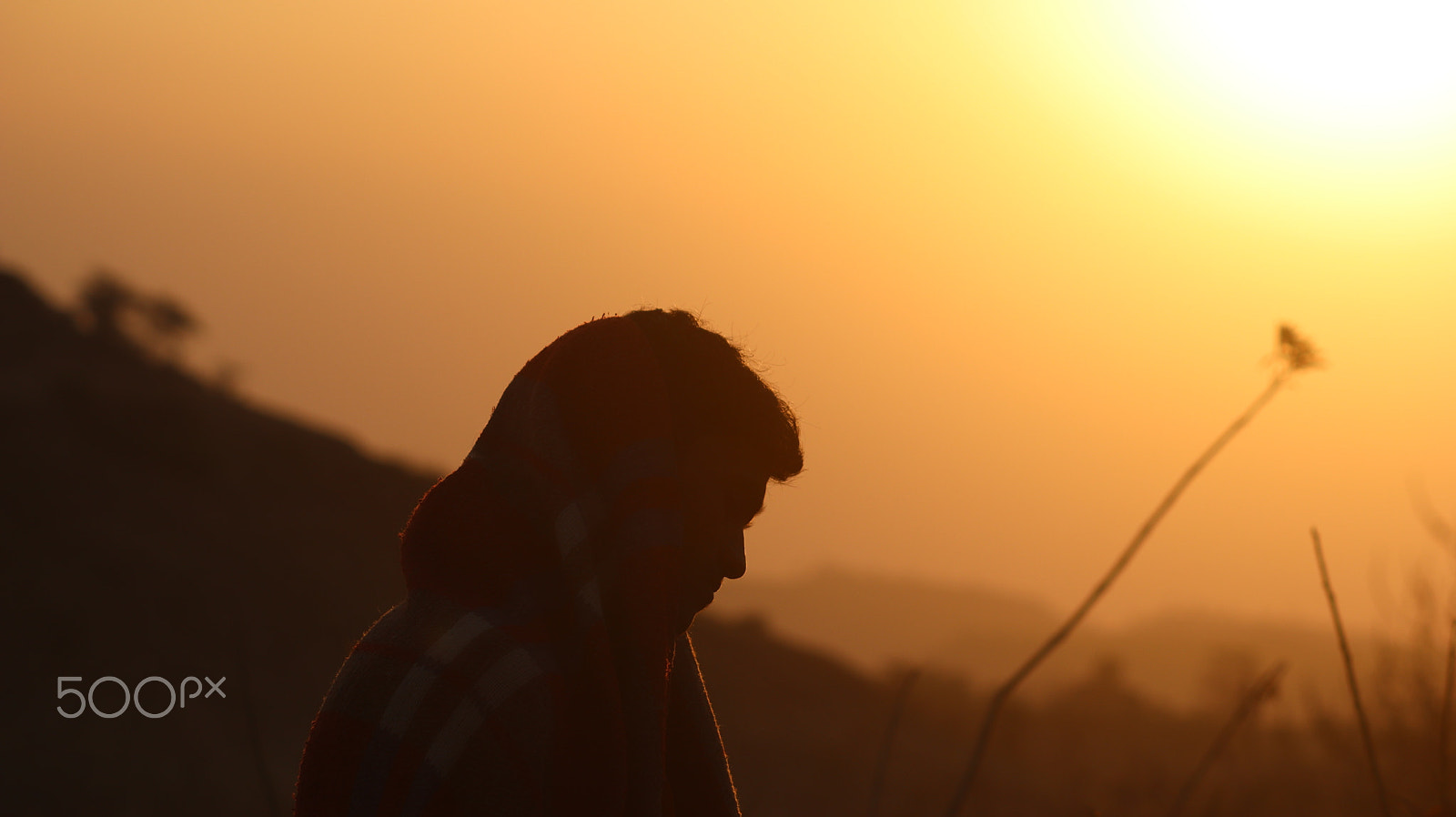 Canon EOS 800D (EOS Rebel T7i / EOS Kiss X9i) sample photo. Reflecting alone in the dawn photography