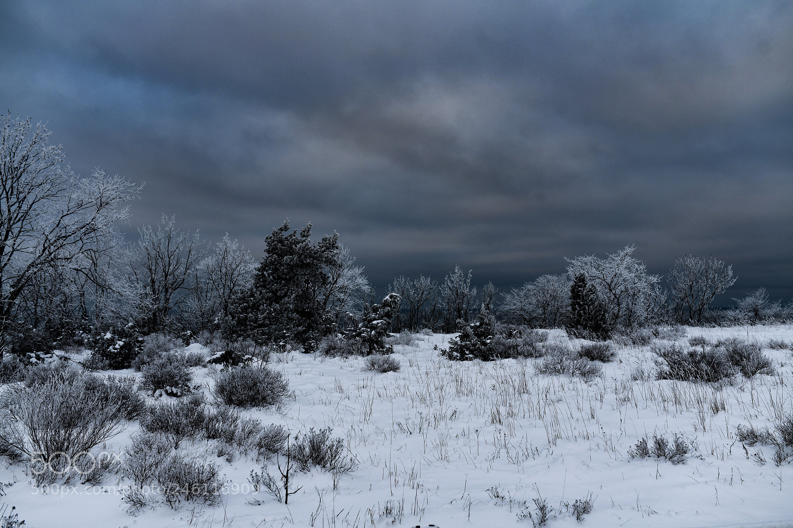 Nikon D850 sample photo. Overlooking baltic photography