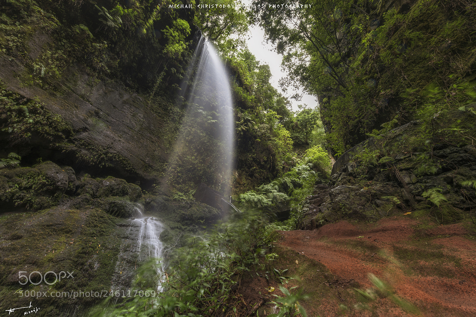 Nikon D810 sample photo. Los tilos (la palma) photography