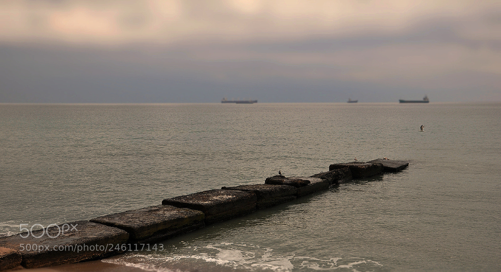 Nikon D90 sample photo. Old pier photography
