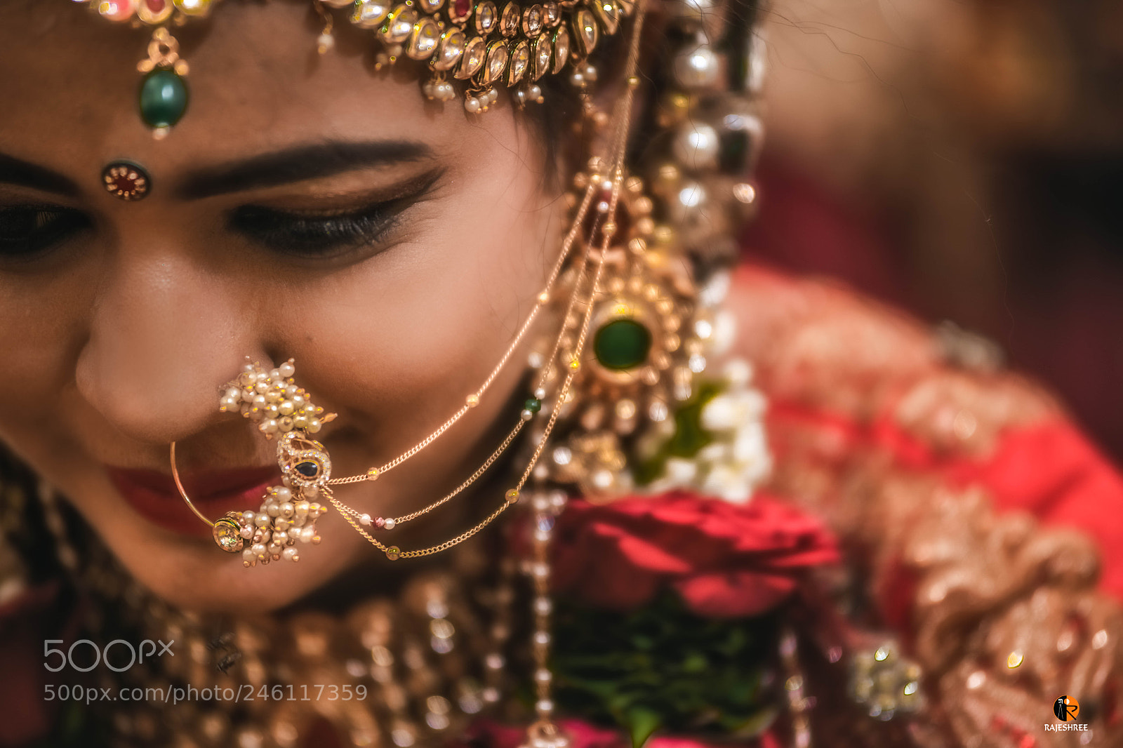 Nikon D850 sample photo. Untitled photography