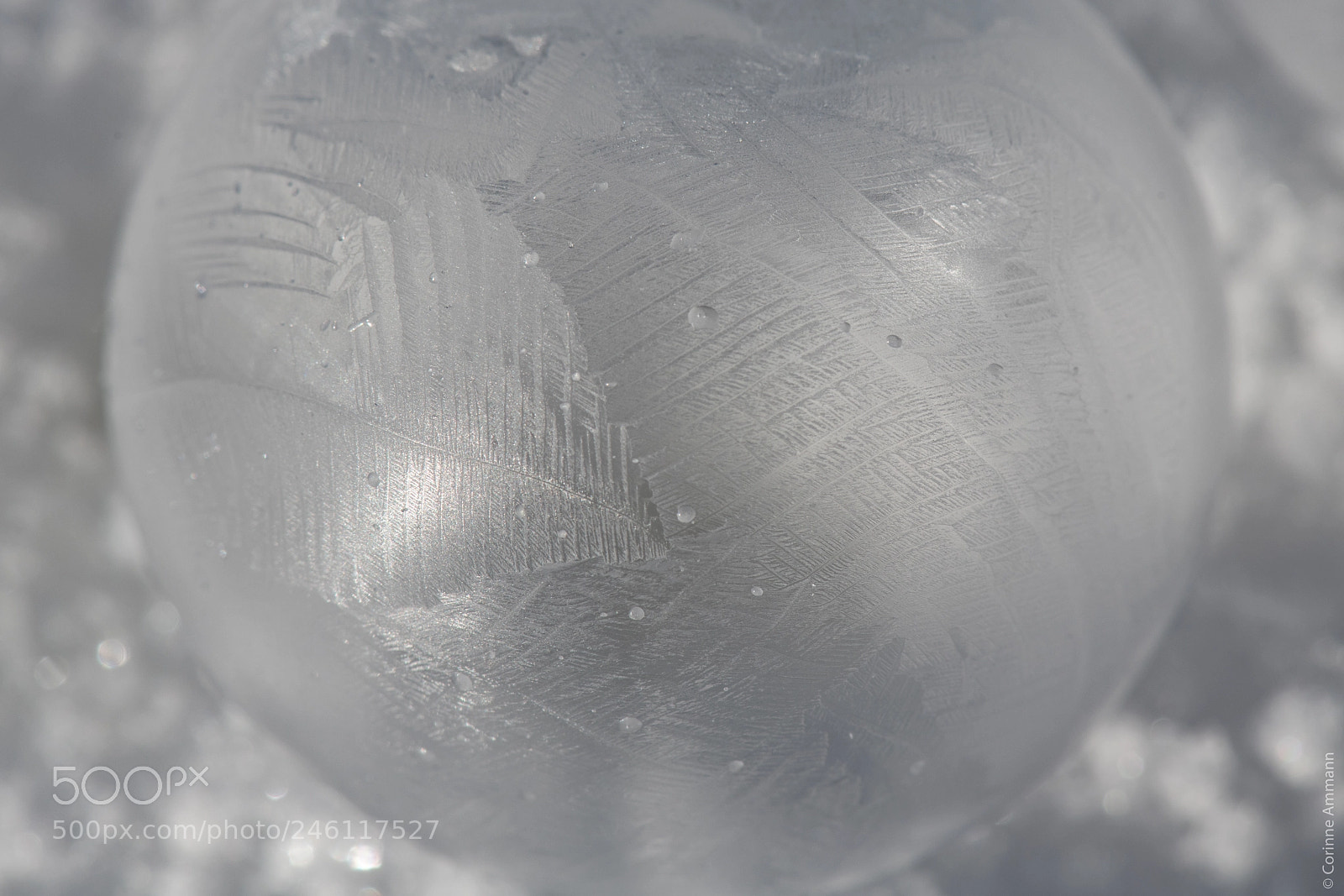 Nikon D850 sample photo. Frozen soap bubble photography