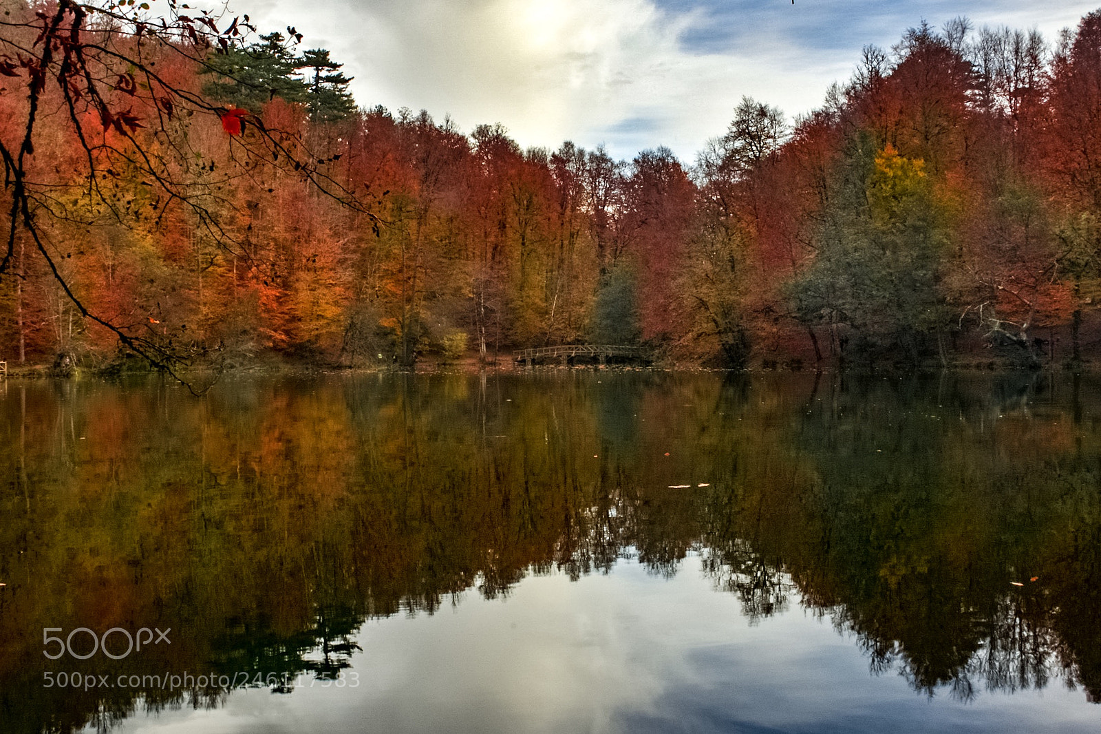 Nikon D7100 sample photo. The autumn photography