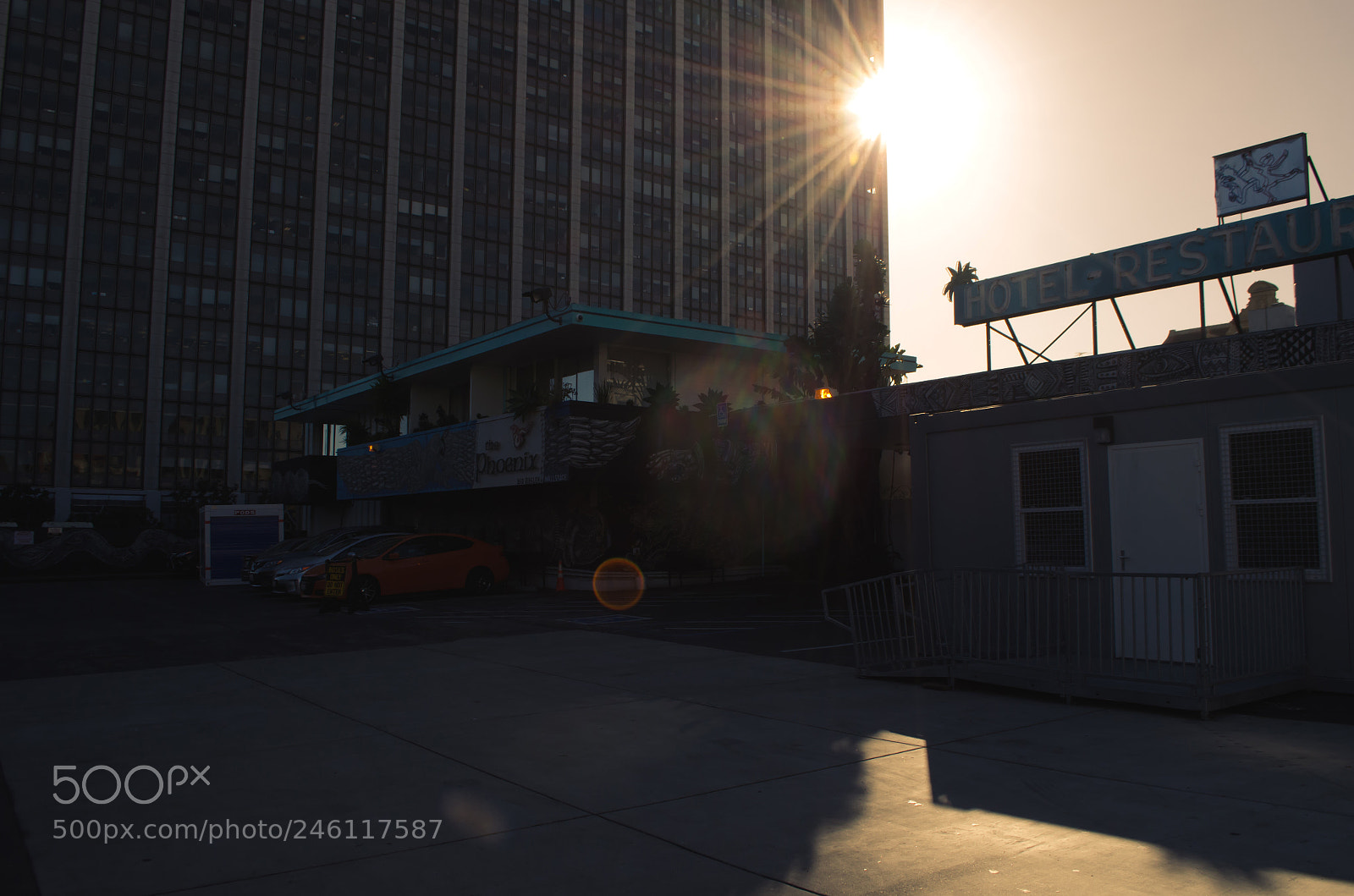 Nikon D5100 sample photo. Beautiful sun glare photography